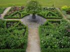 Rose garden
